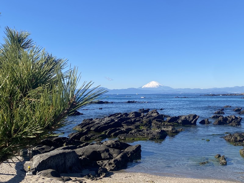 天神島臨海自然教育園