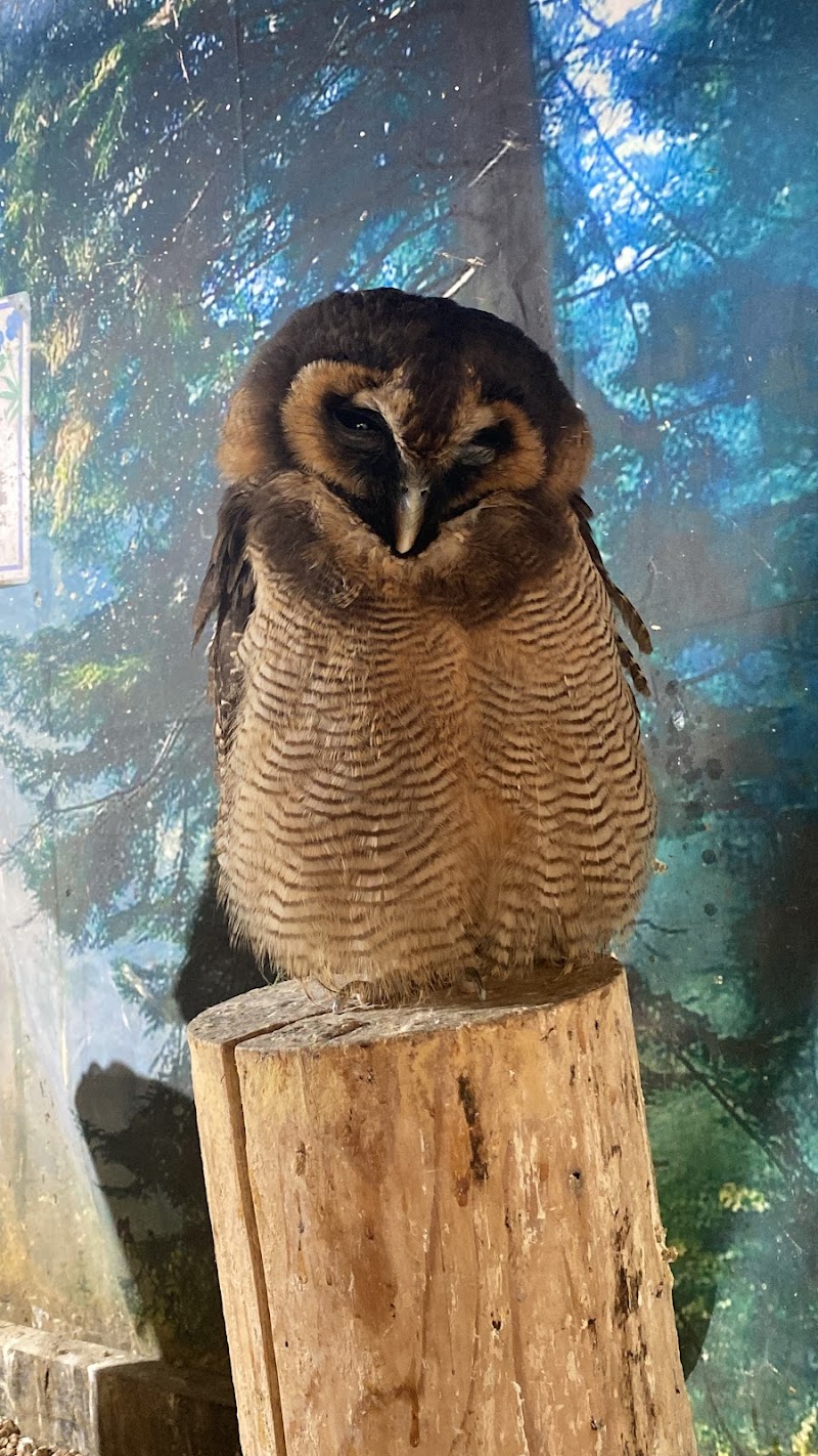 ふれあい動物園 ANIMA