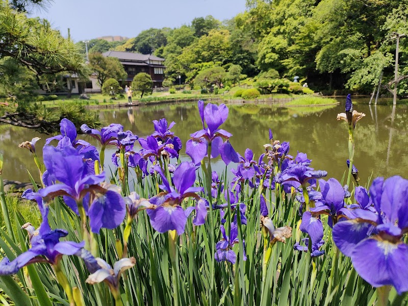 肥後細川庭園