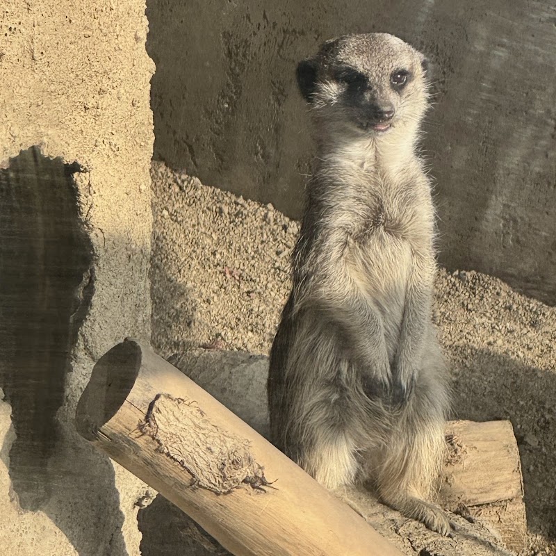 未来へはばたけ 山田製作所 桐生が岡動物園