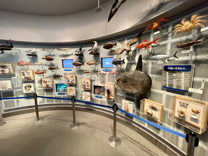 千葉県立中央博物館分館 海の博物館 の写真