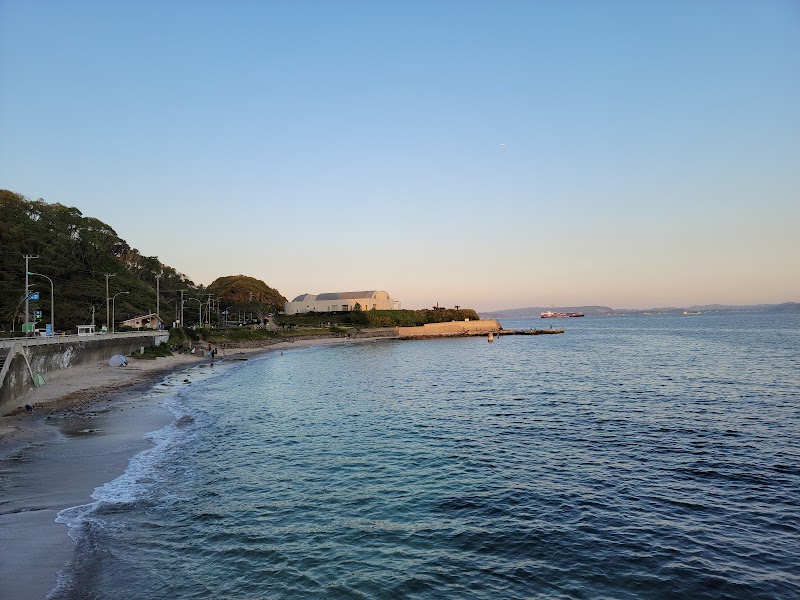 観音崎自然博物館