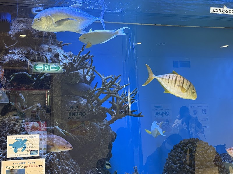 エルム水族館