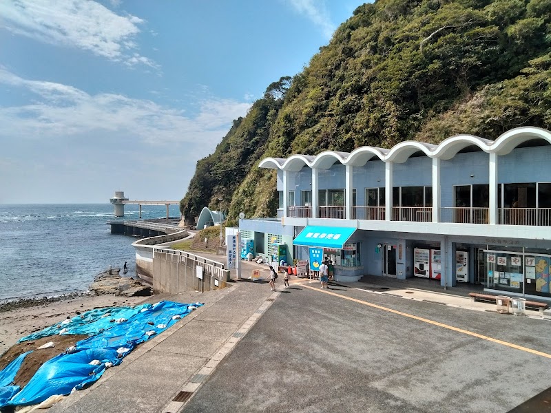 かつうら海中公園海中展望塔
