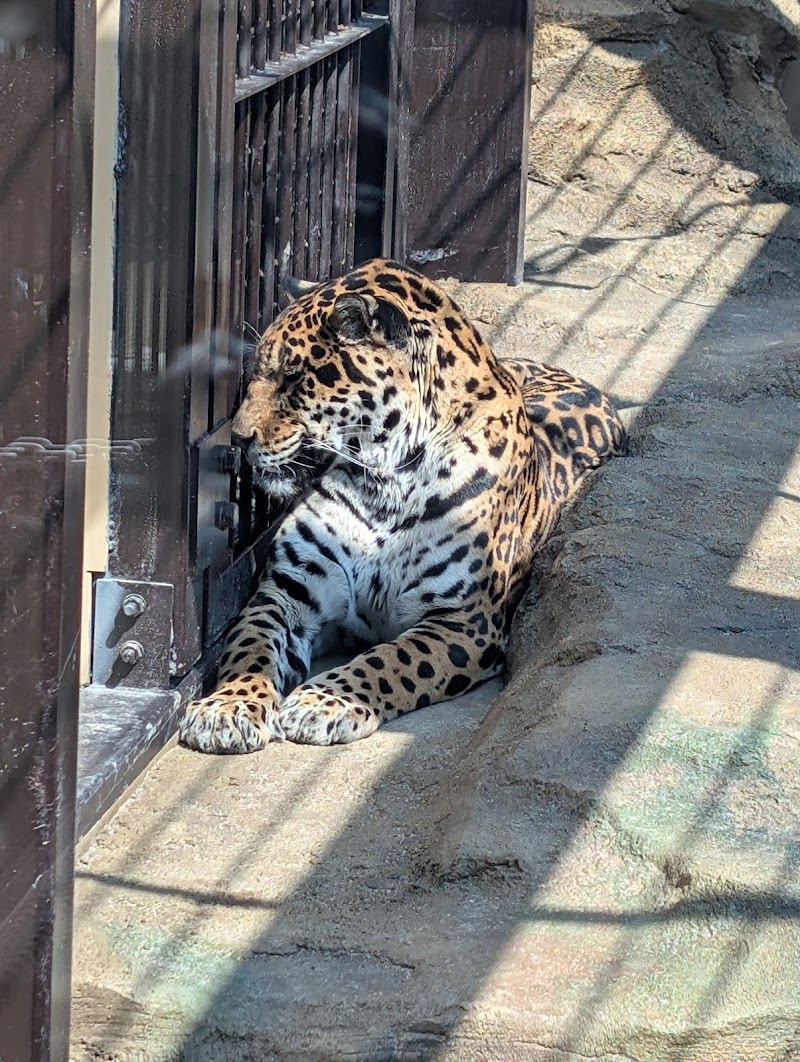 東武動物公園