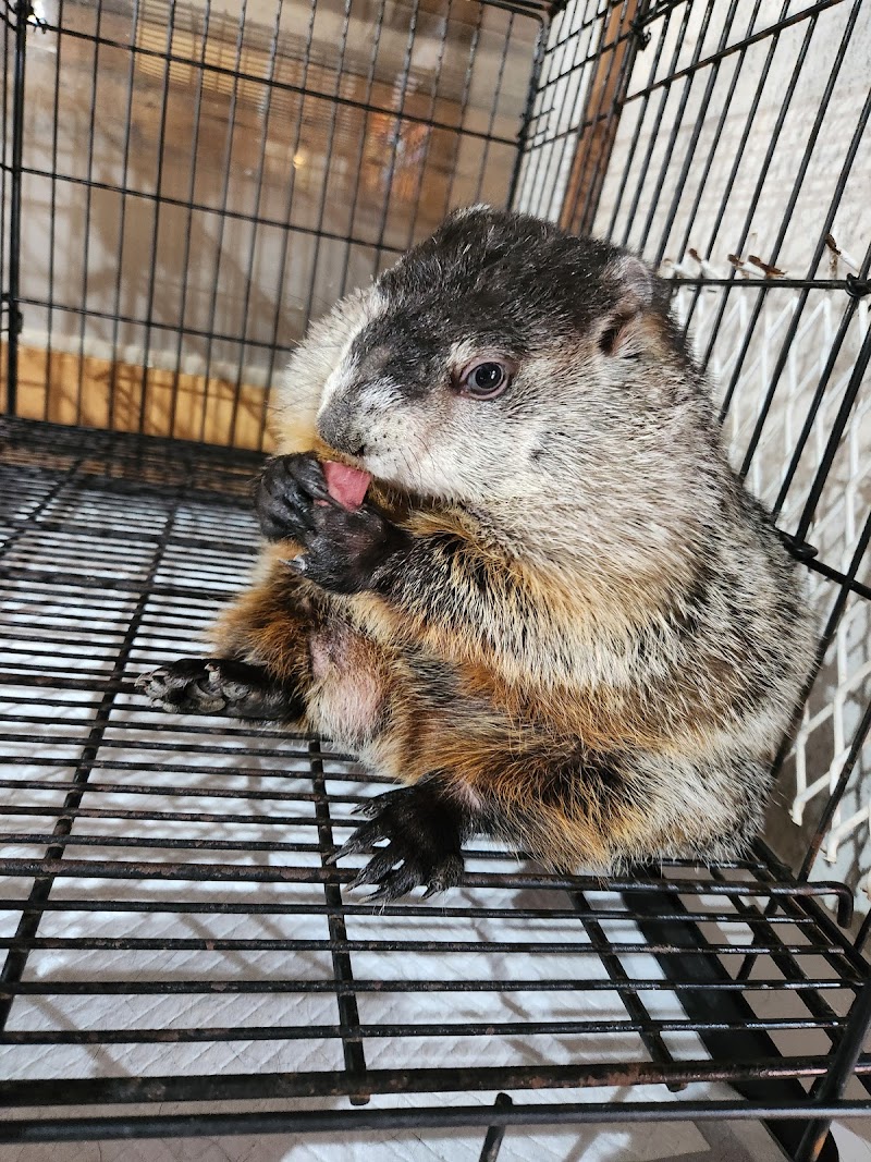 ふれあい動物園 ANIMA