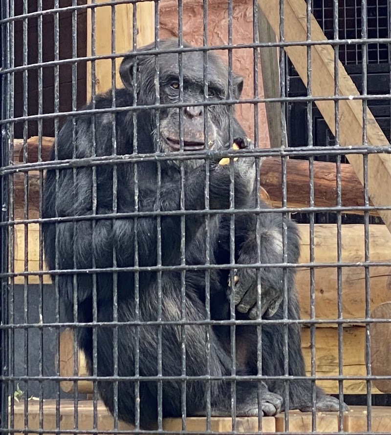 野毛山動物園
