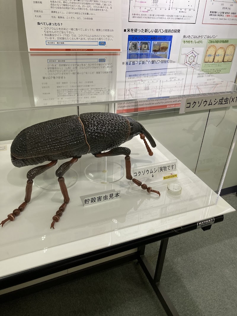 食と農の科学館