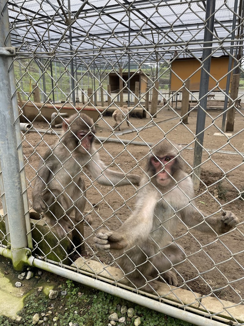 高宕山自然動物園