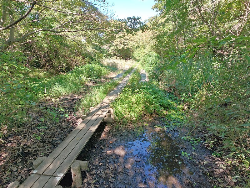 横浜自然観察の森
