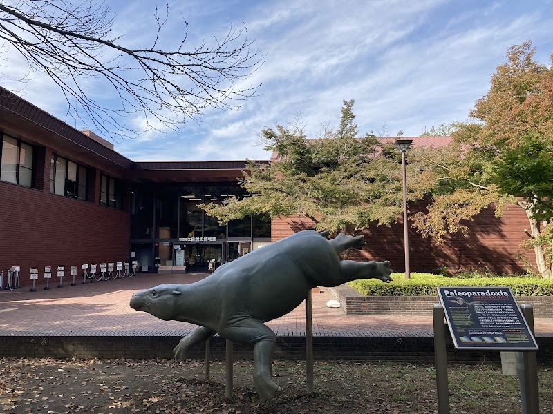 埼玉県立自然の博物館