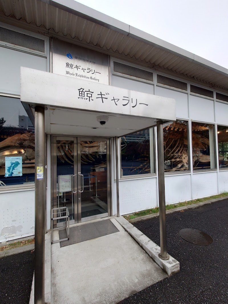 東京海洋大学マリンサイエンスミュージアム