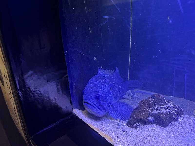 北里アクアリウムラボ