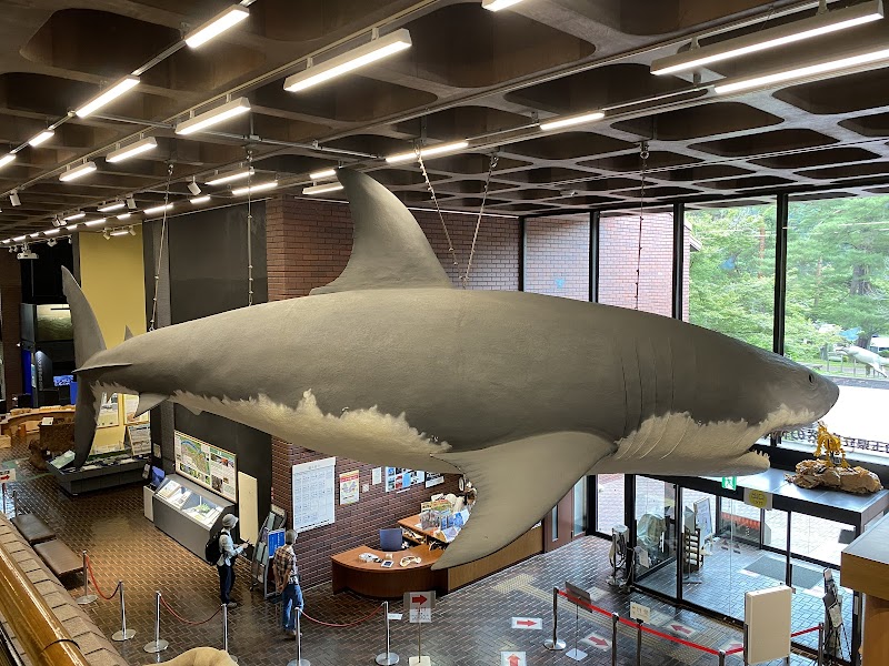 埼玉県立自然の博物館
