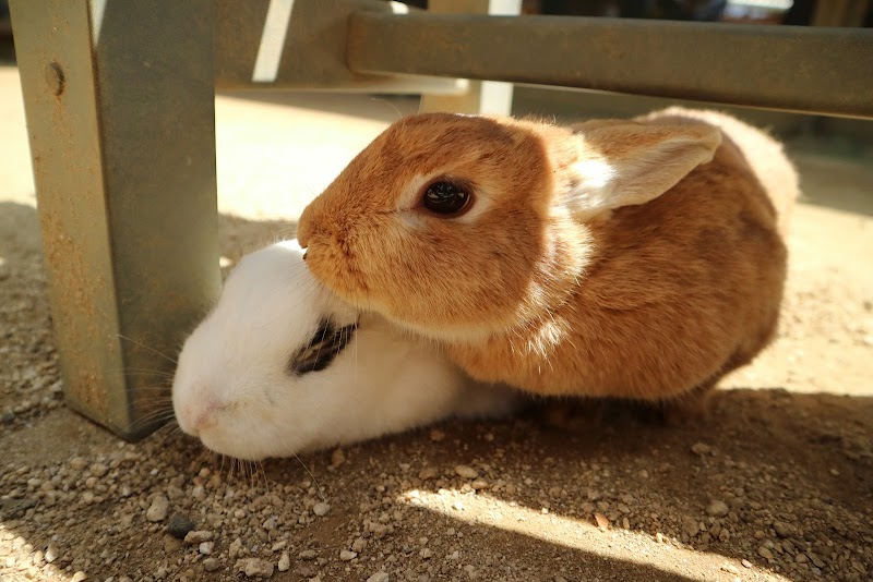 ふれあいガーデンテラス
