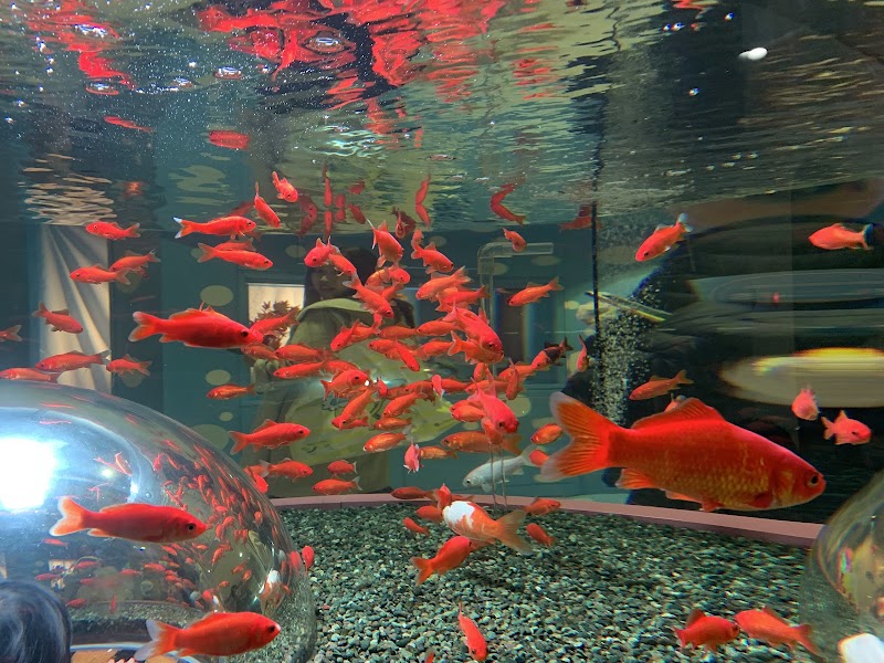さいたま水族館 の写真