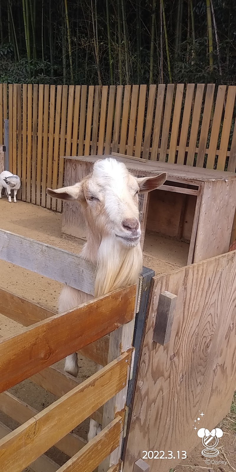 ふれあい動物園 ANIMA