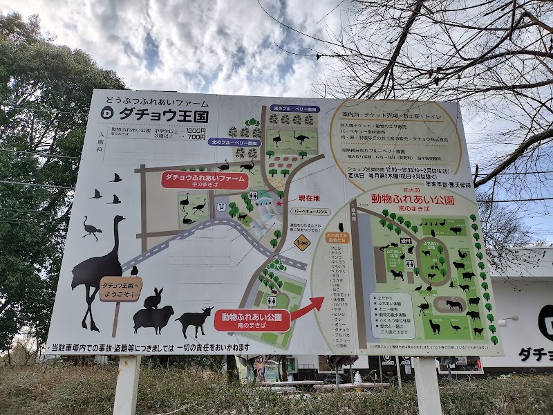 ダチョウ王国 石岡ファーム