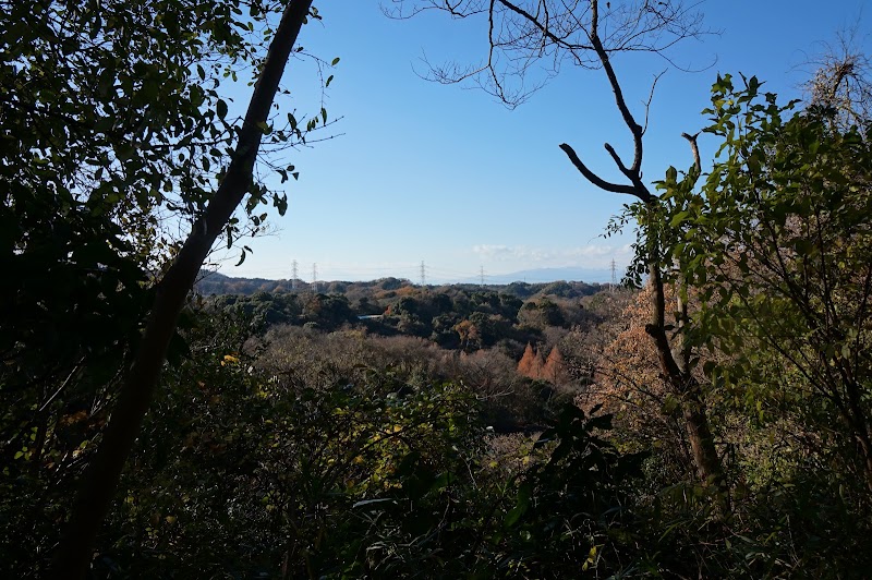 横浜自然観察の森