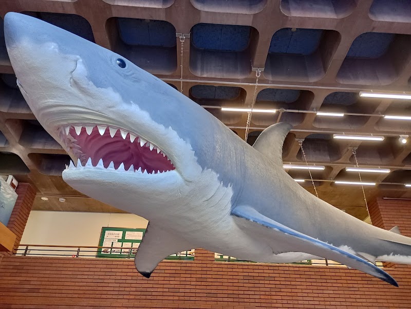 埼玉県立自然の博物館