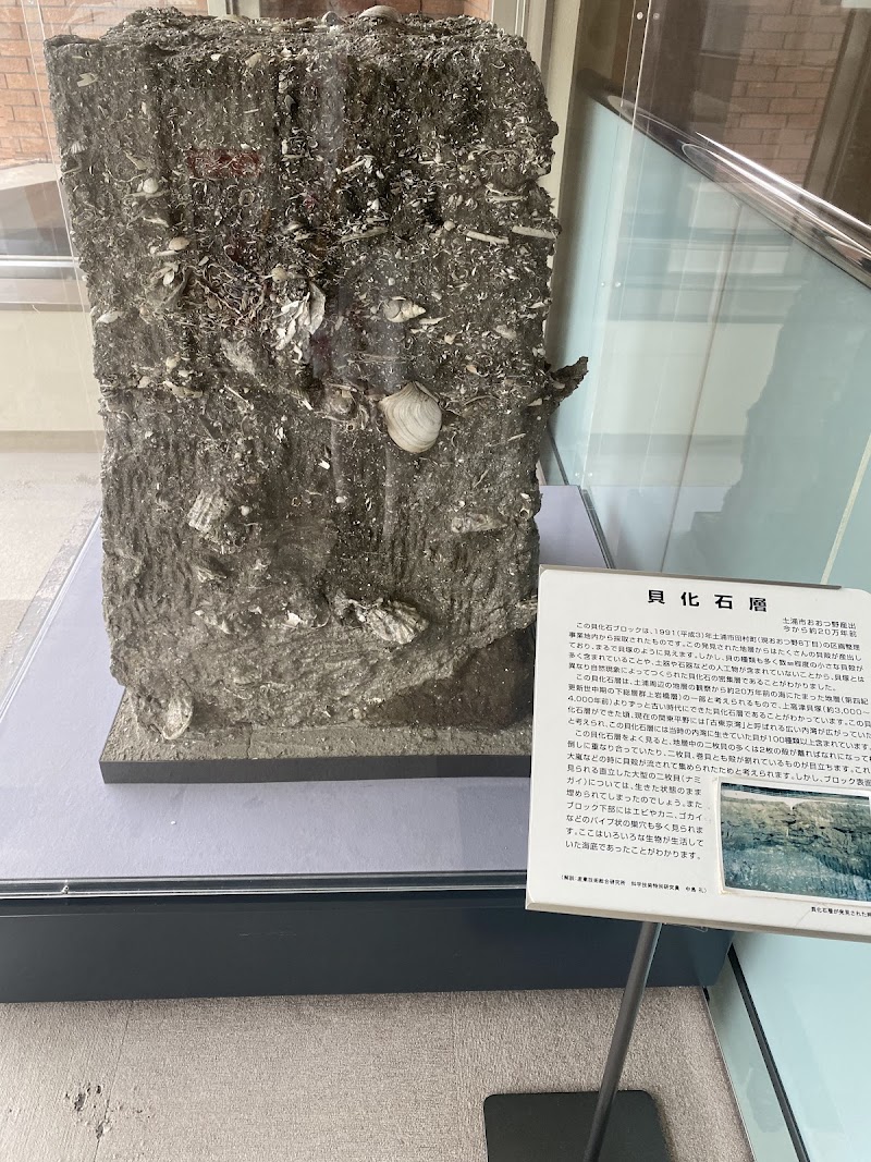 土浦市立考古資料館