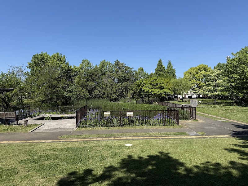 足立区桑袋ビオトープ公園