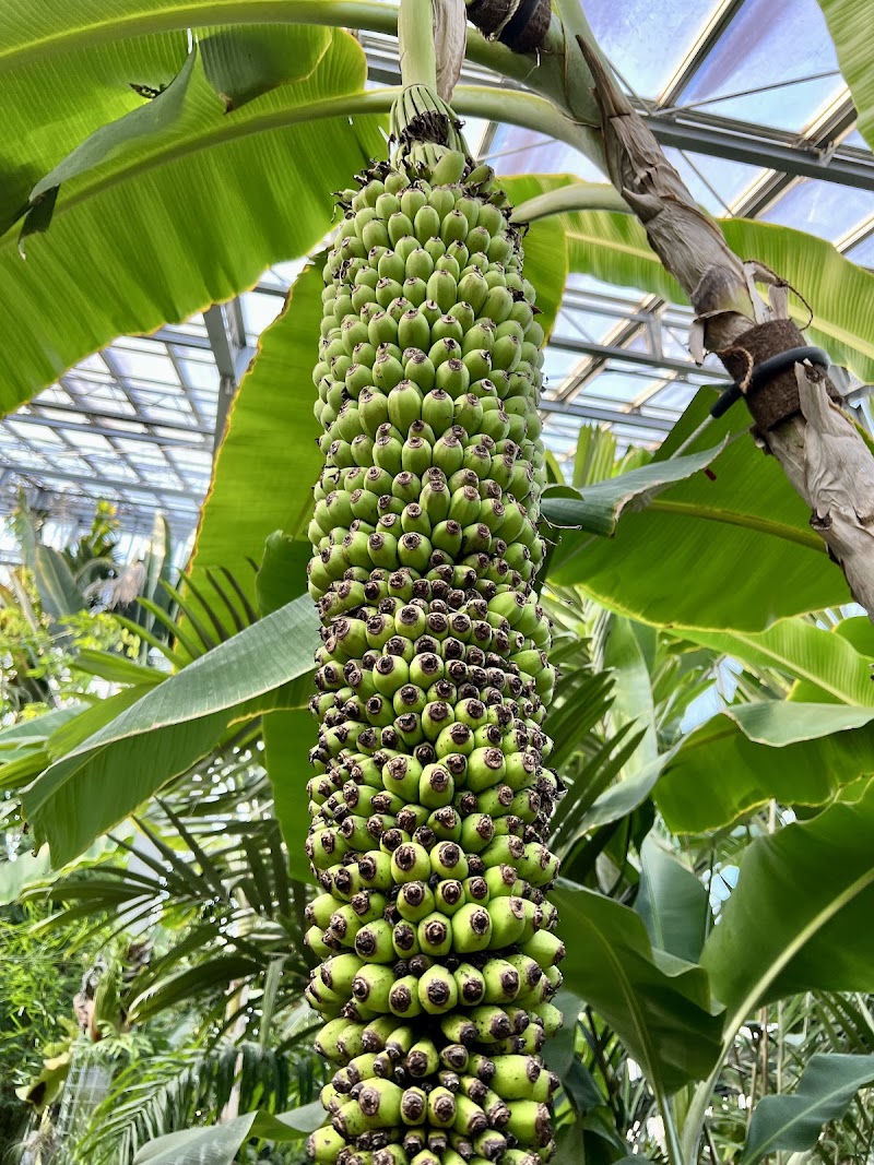国立科学博物館筑波実験植物園