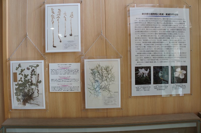 牧野標本館