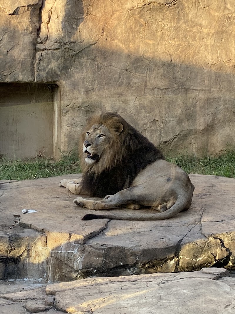 千葉市動物公園