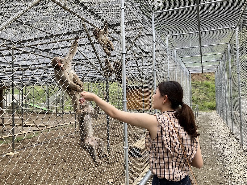 高宕山自然動物園