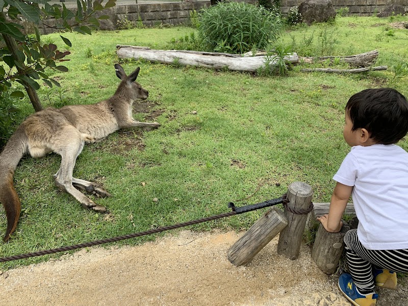 横浜市立金沢動物園