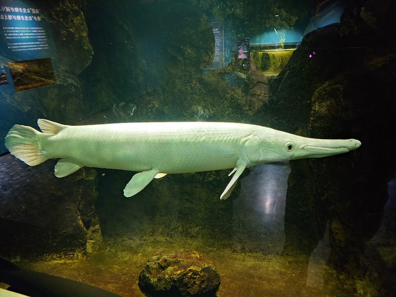 さいたま水族館