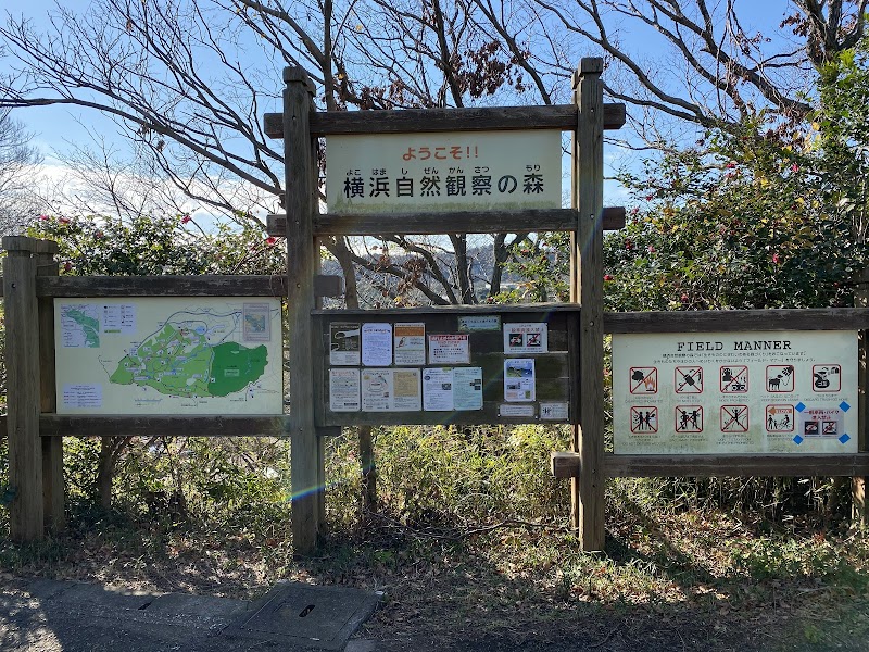 横浜自然観察の森
