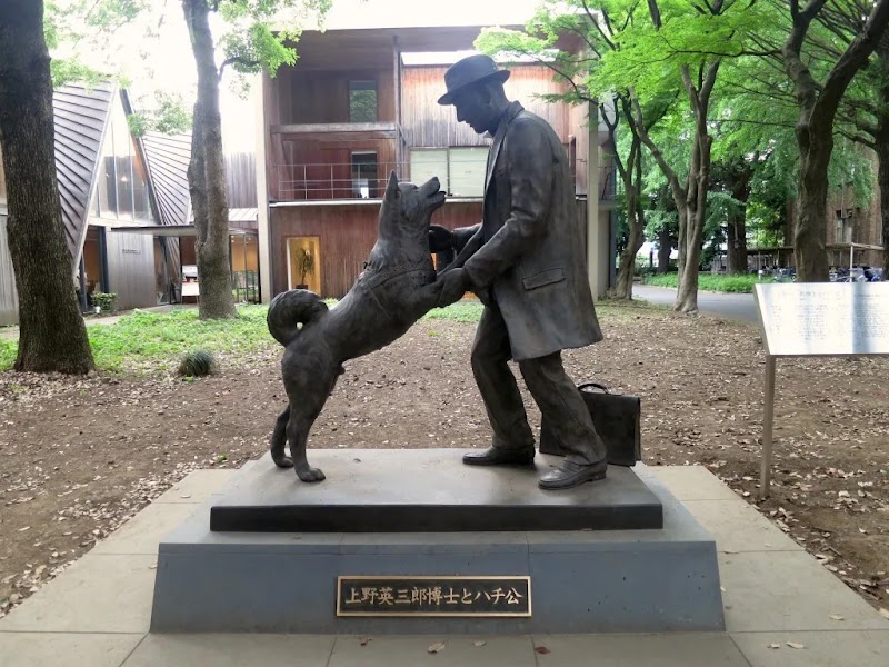 東京大学農学資料館 の写真