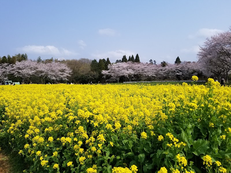 成田ゆめ牧場