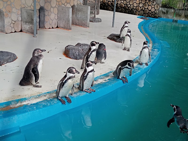 未来へはばたけ 山田製作所 桐生が岡動物園
