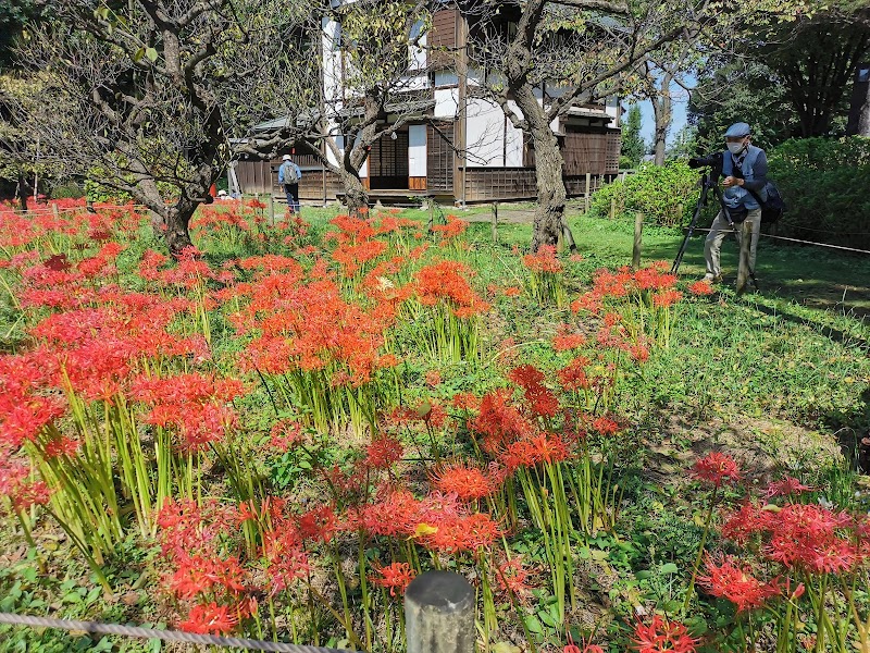 府中市郷土の森博物館
