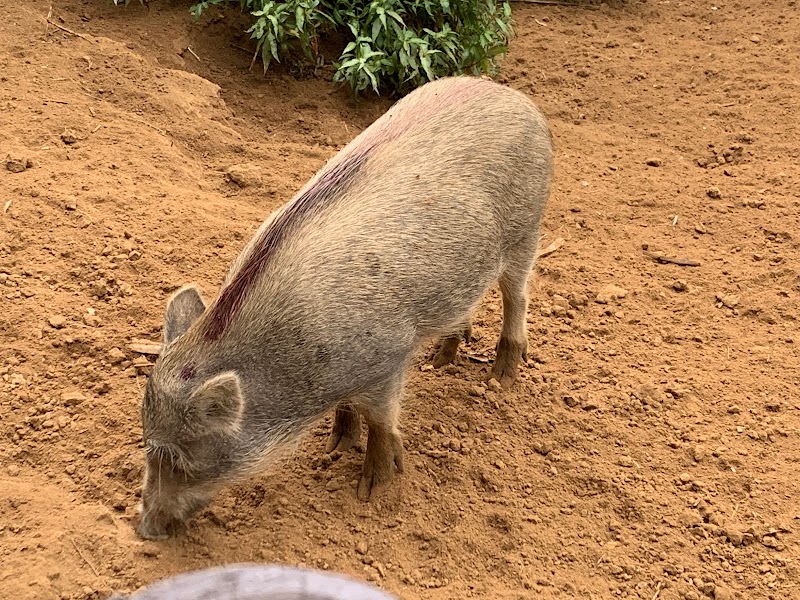 東筑波ユートピア