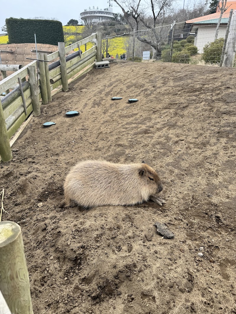 ふれあい牧場
