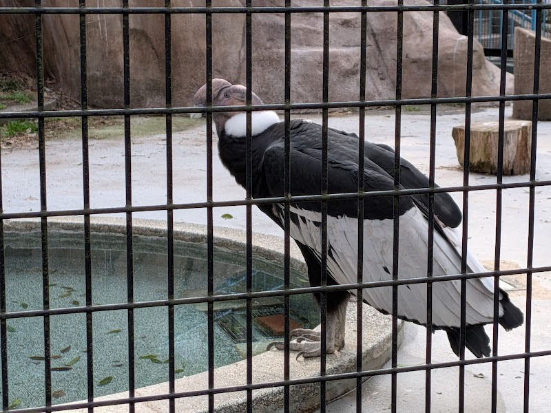 野毛山動物園