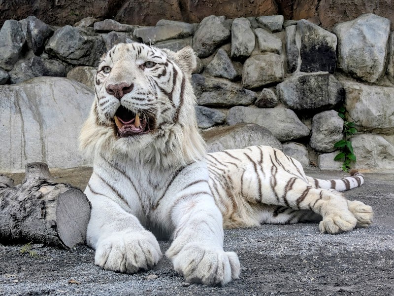 東武動物公園