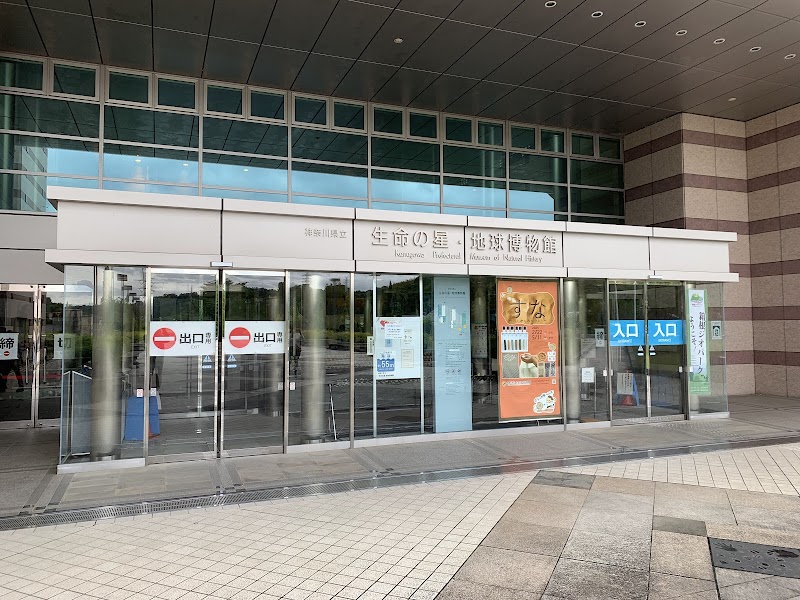 神奈川県立生命の星・地球博物館