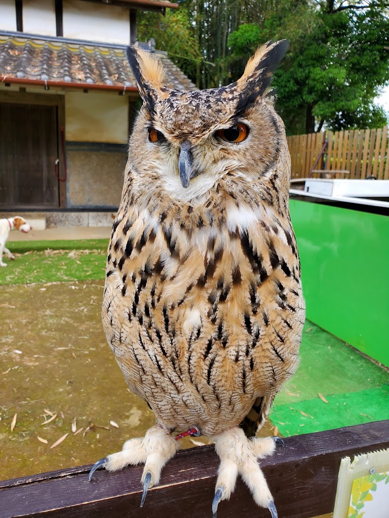 ふれあい動物園 ANIMA