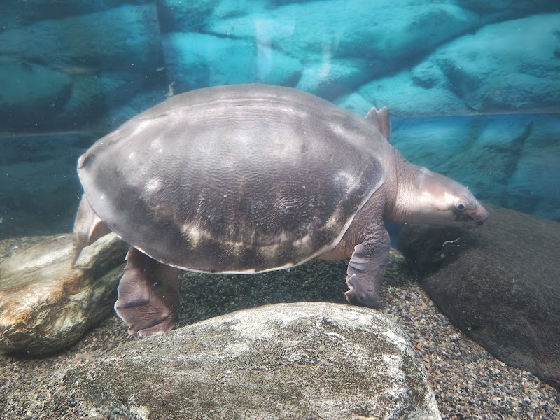 桐生が岡公園 水族館