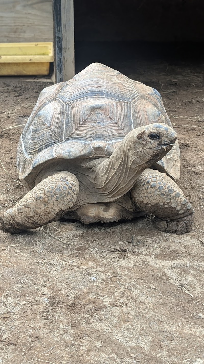 ふれあい動物園 ANIMA