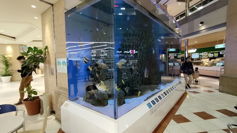 エルム水族館