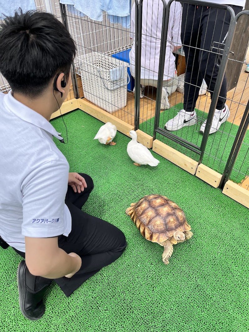 アクアパーク川越
