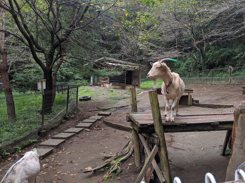 庚申山ミニ動物園