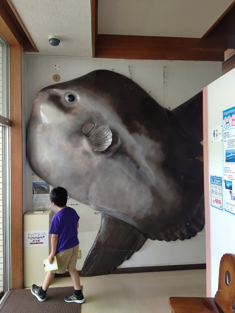 観音崎自然博物館
