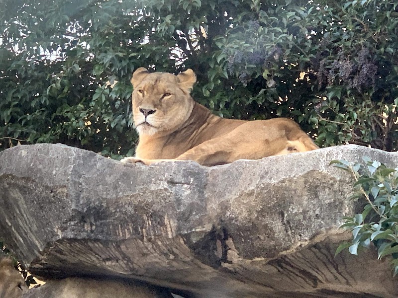 東武動物公園